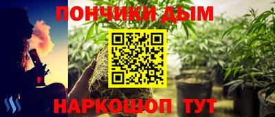 шишки Бузулук
