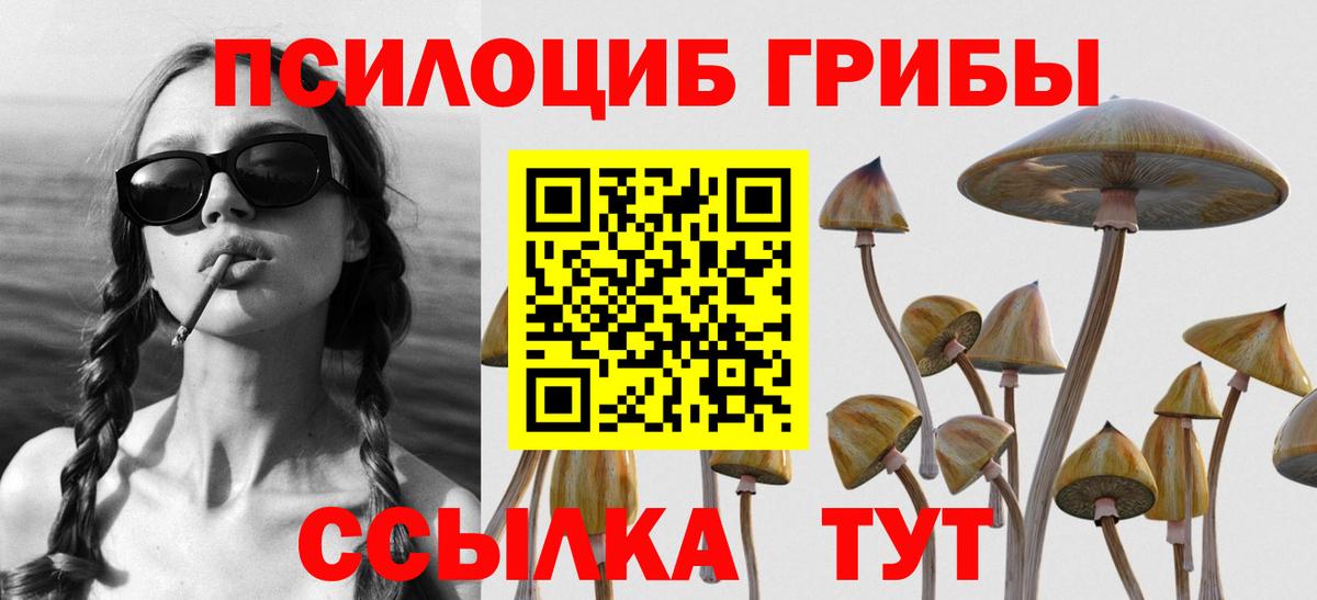 Галлюциногенные грибы MAGIC MUSHROOMS  Вход с VPN  Полевской 